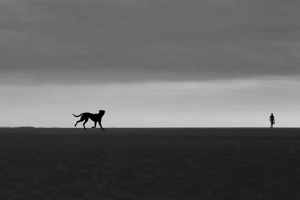 Roberto W. Andrade