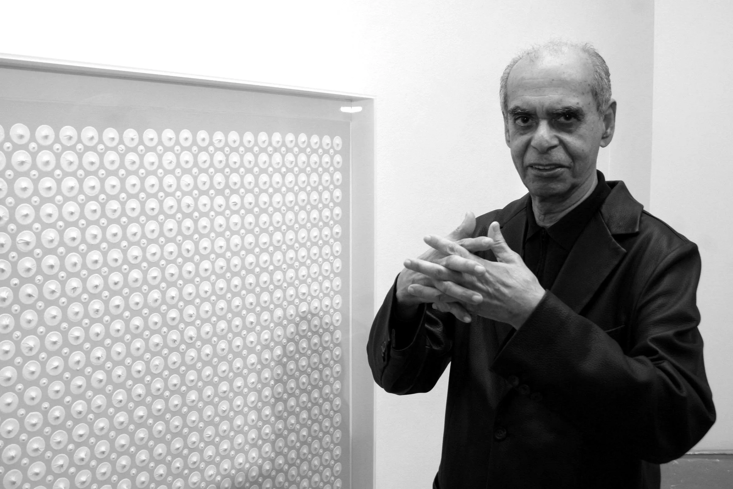 Almir Mavignier