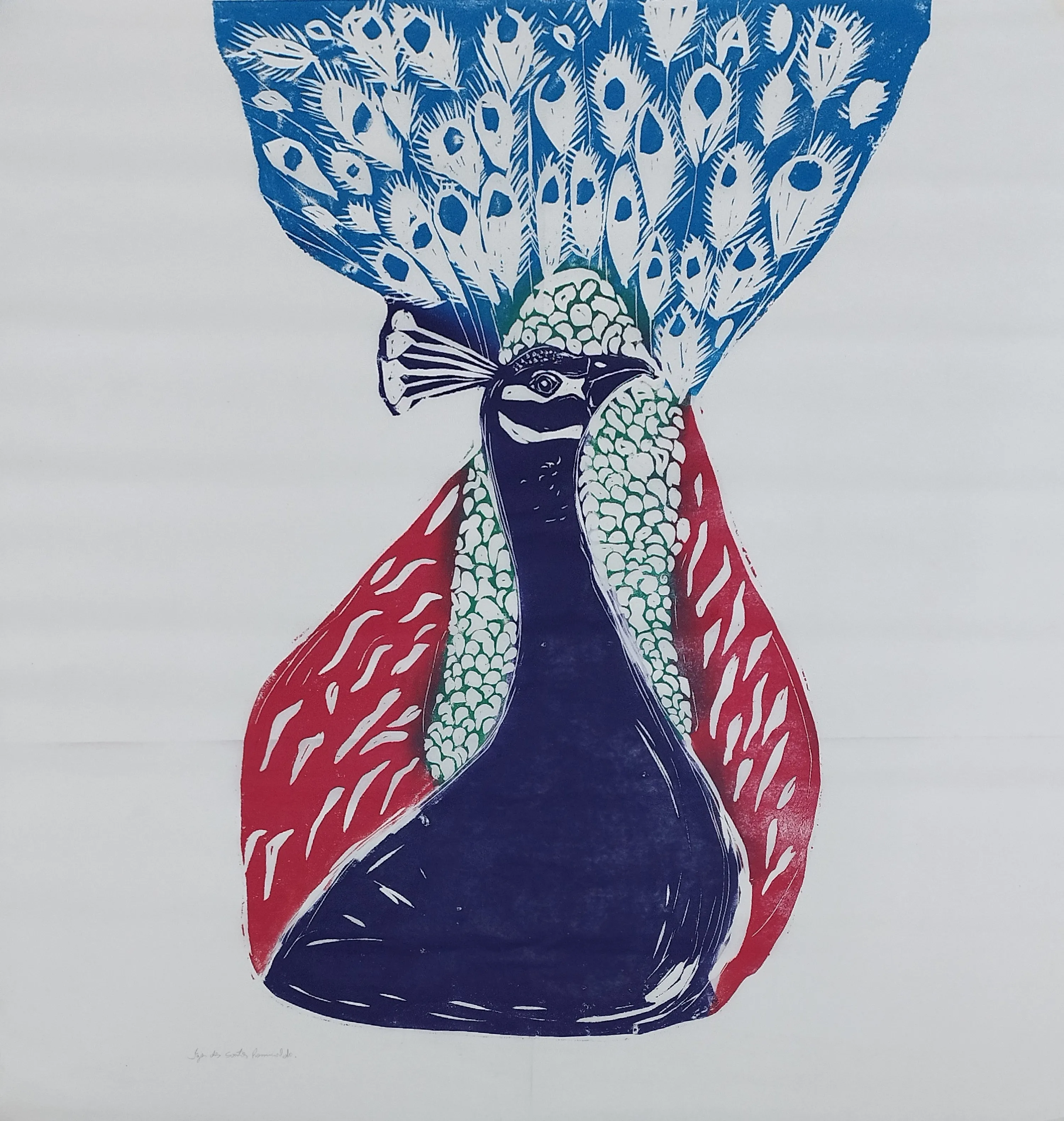 Pavão