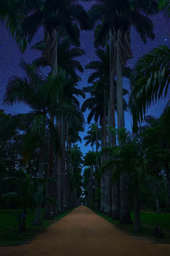 Sem título, da série Noturnos