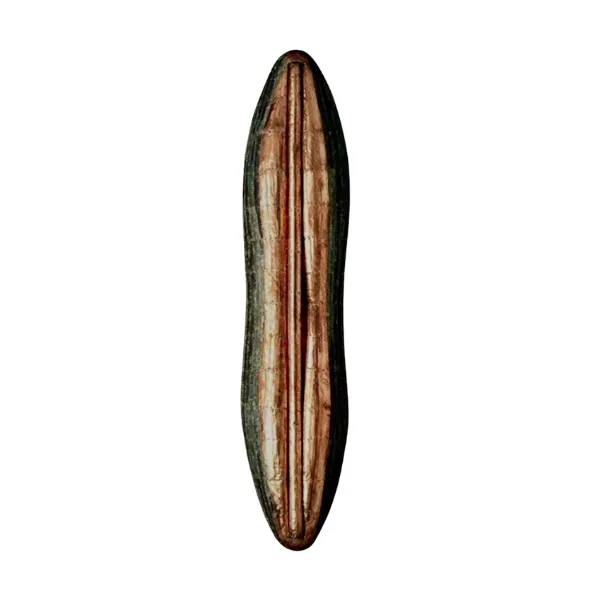 Paulo Laender - Casulo - Escultura em madeira - 1993 - 180 x 30 x 18 cm.