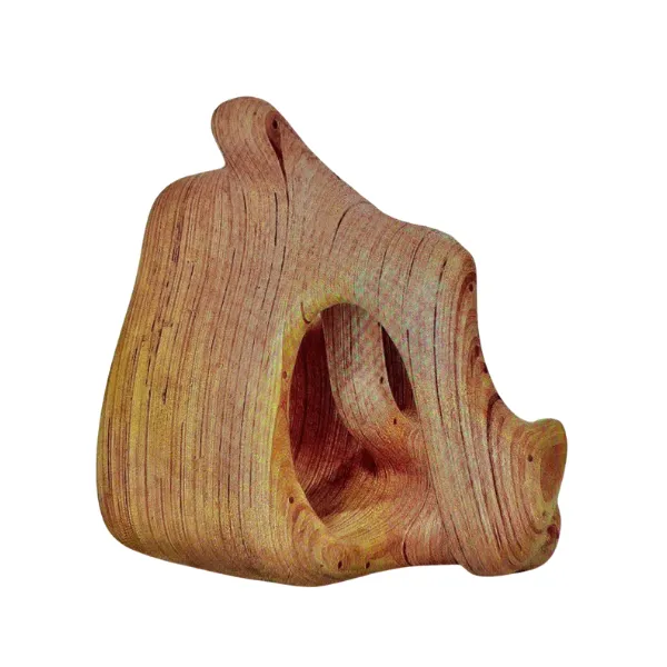 Paulo Laender - Figura Vazada - Escultura: Madeira laminada colada, cavilhada e esculpida.
