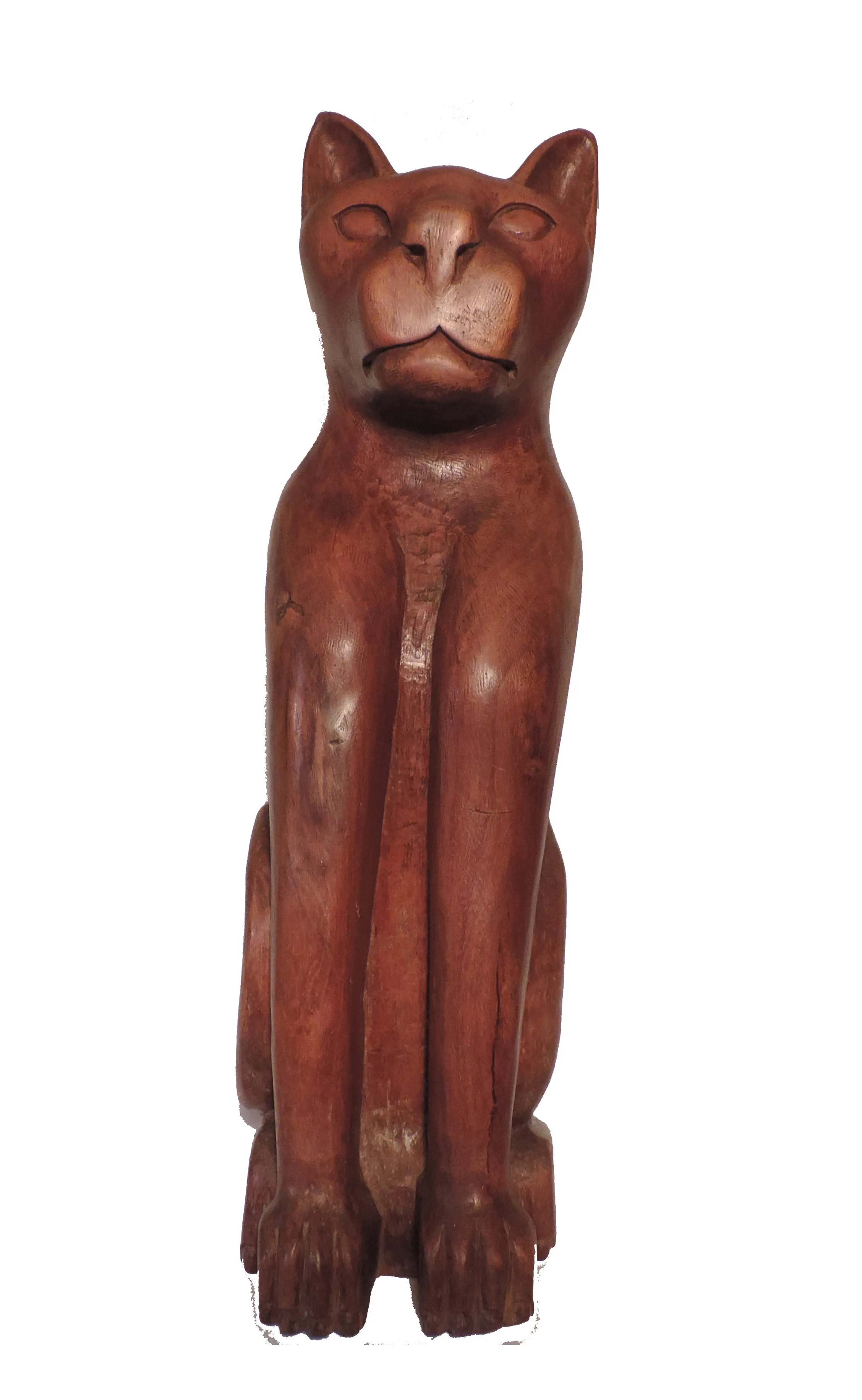 Gato I de Autoria de André da Marinheira