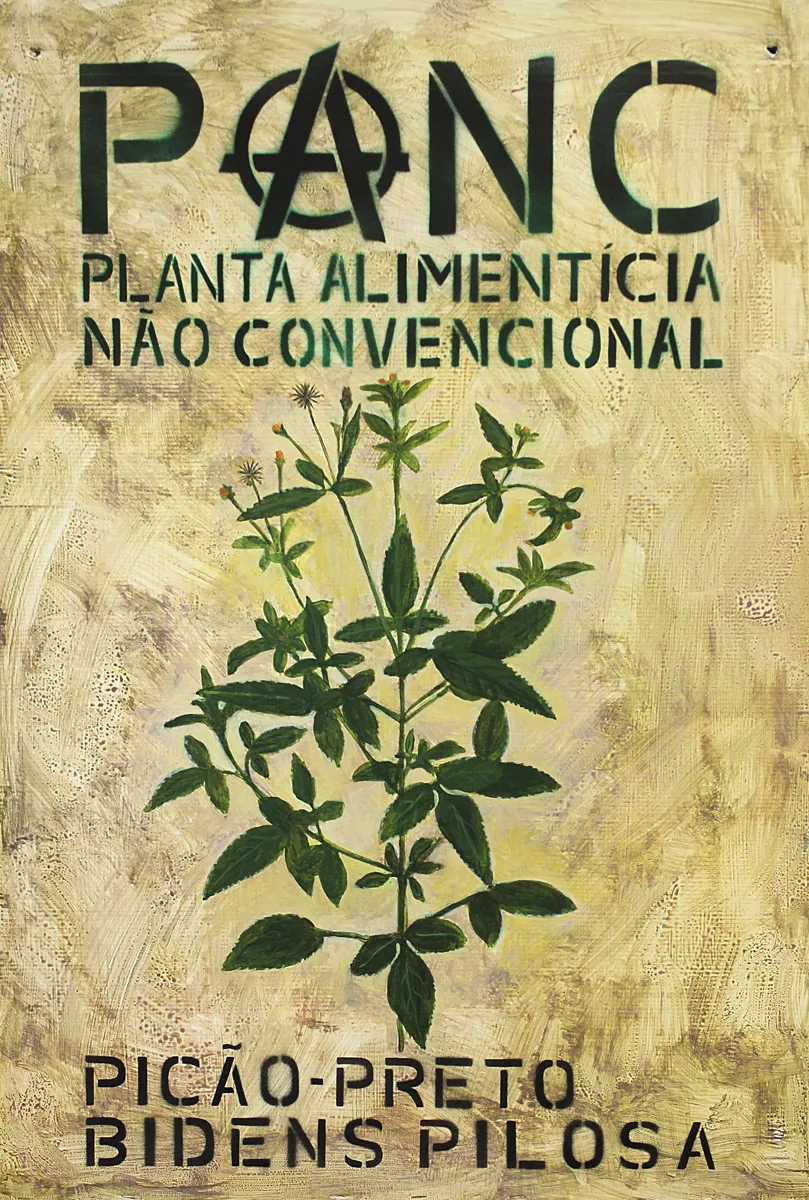 Picão