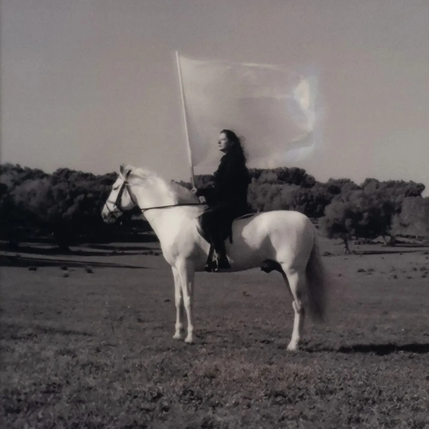 Marina Abramovic - THE HERO - 2022 - Impressão lenticular - 21 x 21 cm.(1)