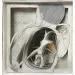 Leya Bebê 1